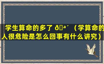 学生算命的多了 🪴 （学算命的人很危险是怎么回事有什么讲究）